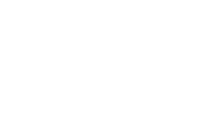 Verified Beef Production Plus